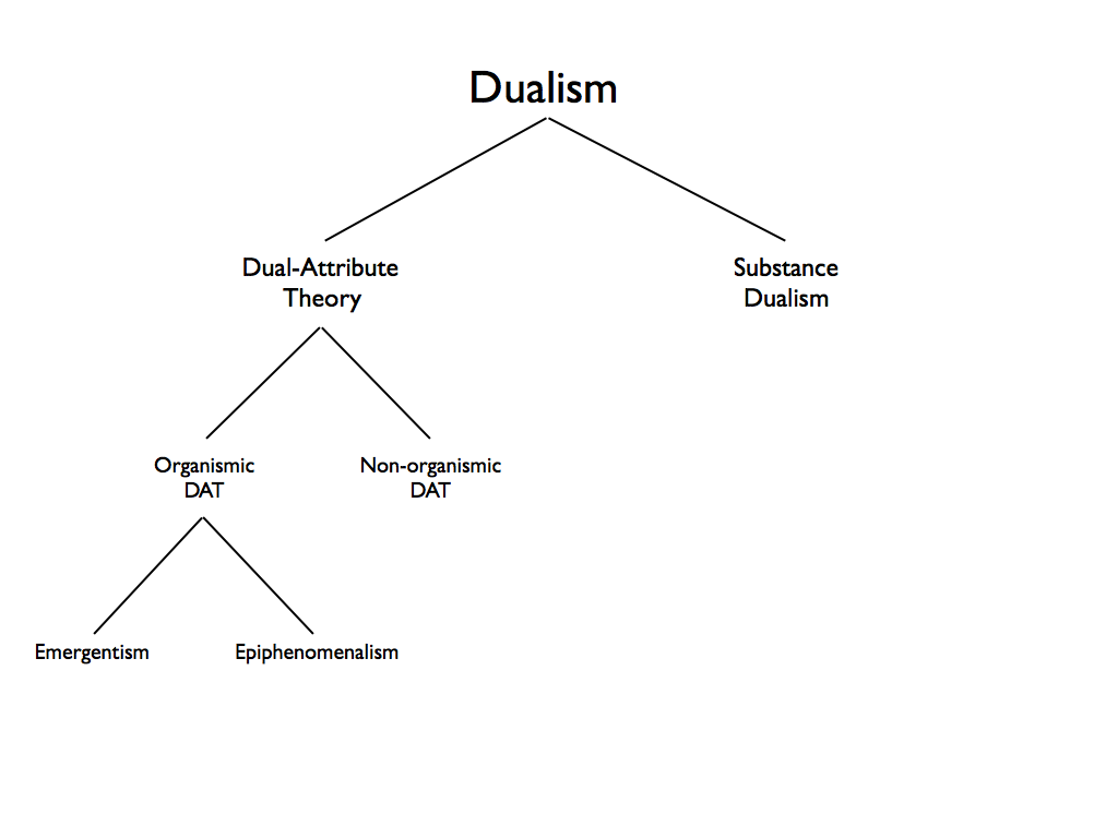 Philosophy essay dualism